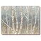 Counterart Set of 2 Hardboard Placemats Silver Birch