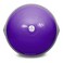 Bosu 7210850 Home Gym Equipment The Original Balance Trainer 65 cm Diameter Purple and Gray