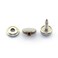 Pro Bamboo Kitchen 25 Set Marine Grade Screw Set  Stainless Steel Snaps Caps Sockets Screw Studs Boat Cover Press Snap Fastener Screw 58 Inches Snap Button Screw