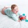 Tiny Love Marie The Hedgehog Jumpy Teether Toy Meadow Days