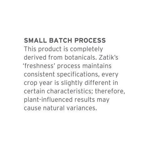 Zatik Naturals  Healthy and Shiny Shampoo with Olive and Black Seed  Vegan Toxic free Volumizing Safe for Color Treated hair 108 fl oz 320 mL