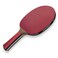 DonicSchildkrt Waldner 1000 Table Tennis Bat ABP Handle Sponge 21 mm EasySlick Pad  ITTF 751801