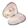 JNMM Freshwater Pearl Oyster Cultured Love Wish Round Pearls Various 10 Shining Meaningful Color Oysters with Pearls Inside 68mm 10 PCslot