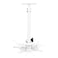 TNP Universal Projector Mount Drop CeilingWall  LCDDLP Video Projection Mount Bracket Holder Plate with Telescoping Arm Extension Pole Tilt  Swivel Adjustable Bracket White