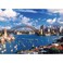 Trefl 1000 Piece Jigsaw Puzzles Port Jackon Syndey Australia Puzzle Puzzle of Sydney Harbour Bridge Adult Puzzles 10206