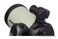 Celestron Universal Piggyback Mount