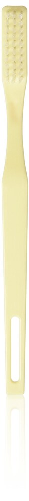 Box 24 Disposable Toothbrushes  Individually Wrapped