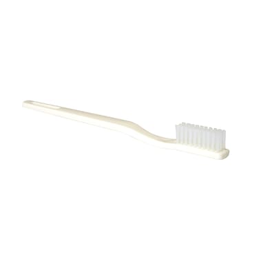 Box 24 Disposable Toothbrushes  Individually Wrapped