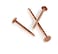 Simpson Strong Tie C410ARN1 4d Annular Ring Shank Copper Bulk Roof Nails 112Inch 10 Gauge 1Pound Stainless Steel