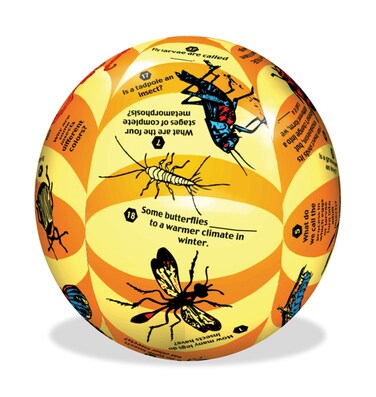 American Educational Vinyl Clever Catch Elementary Science Insects Ball 24 Diameter