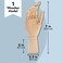 Wooden Hand Model 7 in Right Hand Art Mannequin Figure with Posable Fingers for Drawing School Practice Supplies Hand Jewelry Display Decoration Sketching