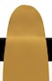 Golden Fluid Acrylic Paint 1 OunceIridescent Gold Deep