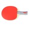 Butterfly 401 Table Tennis Racket Set  1 Ping Pong Paddle  1 Paddle Case  ITTF Approved Table Tennis Paddle  Ships in Ping Pong Racket Gift Box Multi B401FL
