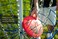Verus Sports Disc Golf Target