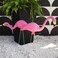 Bloem Pink Flamingo 25 Garden Yard Stakes 2Pack