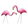 Bloem Pink Flamingo 25 Garden Yard Stakes 2Pack