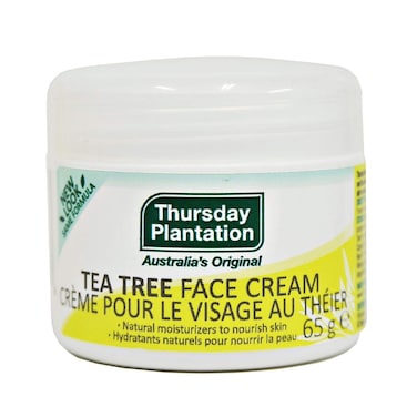 Tea Tree Face Cream 229 oz Cream