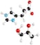 Molecular Models 135 Piece Biochemistry Student Set