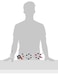 Molecular Models 14OI219 306Piece Organic Chemistry Molecular Model Set Instructors Set 126 atom parts
