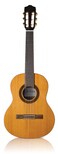 Cordoba Requinto 12 Small Body Acoustic Nylon String Guitars Iberia Series