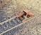 Walthers Cornerstone HO Scale Model Track Bumpers Kit 8