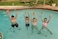 Sunlite Sports Dive Animal 3 Combo Set Styles Vary AN0514C