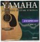 Kmise A3530 Stainless Steel Acoustic Guitar Strings Light