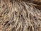 Camel  Brown Eyelash Yarn 50 Gram Ice 22749