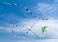 Prism 75foot Kite Tube Tail