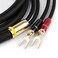 Choseal HiFi OCC Single Crystal Copper Speaker Cable Y Plug Compatible StereoSpeakerAmplifier82ft  25m