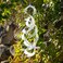 In the Breeze Mylar Spinner Silver Sparkle Spin Quartet  32 Long