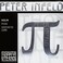 ThomastikInfeld Peter Infeld Violin Single DString  44 Scale  No PI03A