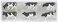 Preiser 79155 Animals Assorted Cows N Model Figure
