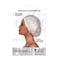 Firstline Evolve Go Satin Shower Cap  Ivory
