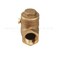 Everflow Supplies 210T012NL IPS Threaded Brass Swing Check Valve 12 Inch  No Lead