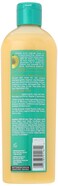 SoftSheenCarson Optimum Salon Haircare Amla Legend Moisture Remedy Shampoo 135 oz