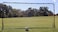 Trigon Sports Soccer Rebounder Training Net 6 x 12Feet