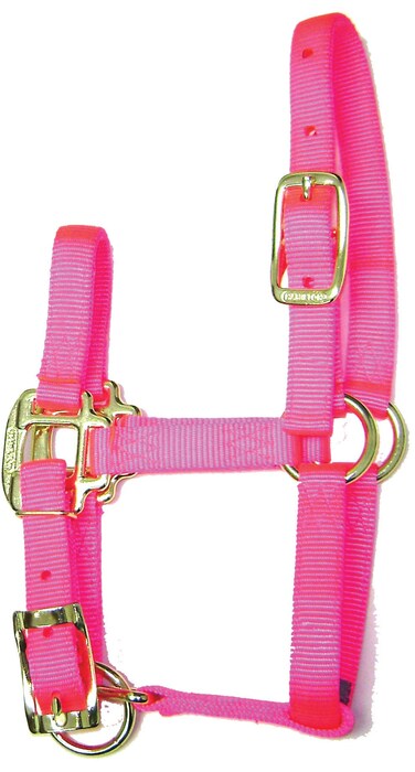 Hamilton 34Inch Adjustable Quality Horse Halter Pony or Average Miniature Donkey Hot Pink