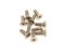 Racers Edge 30651 540 x 716 SS Flat HeavyDuty Screw 10Piece