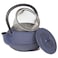Creative Home Kyusu Cast Iron Tea Pot 10 oz Blue