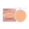 Mineral Fusion Pressed Powder Foundation Olive 3  Med Skin wGreenish Undertones Age Defying Foundation Makeup with Matte Finish Talc Free Face Powder Hypoallergenic CrueltyFree 032 Oz