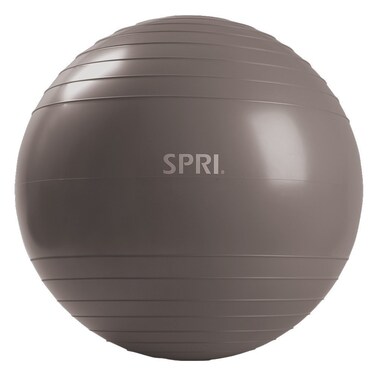 SPRI Elite Xercise Balance Ball Silver 75cm