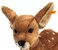 Steiff Rieke Dangling Fawn Plush Brown