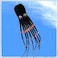 295 Inches  75M  Giant Octopus Paul Parafoil Kite Black with Handle  String Beach Park Outdoor Fun
