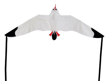 In the Breeze Seagull Kite58 W x 21 H3140