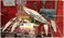 Pegasus Hobbies 1144 Scale The Nautilus Submarine Model Kit