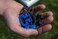 Kwik Goal Kwik Lock Net Clips Pack of 100 Black