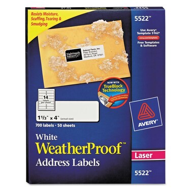 Avery 5522 Wthrproof Mailing Labels Address113Inch x4Inch 700BX WE