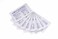 Evolis Cleaning Kit A5002