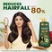 KESH KING Anti Hairfall Shampoo  with 21 Ayurvedic Herbs  Aloe Vera  Provides Healthy Nourished Scalp  for Shiny  Smooth Hairs  3381 Fl Oz1000ml